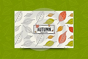 Autumn leaf pattern. Fall leaves seamless pattern. Seasonal web banner template with leaf texture. Vector