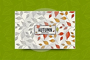 Autumn leaf pattern. Fall leaves seamless pattern. Seasonal web banner template with leaf texture. Vector