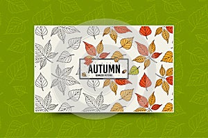 Autumn leaf pattern. Fall leaves seamless pattern. Seasonal web banner template with leaf texture. Vector