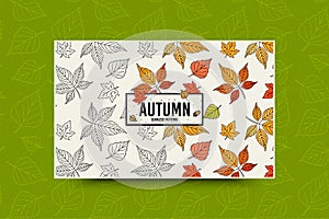Autumn leaf pattern. Fall leaves seamless pattern. Seasonal web banner template with leaf texture. Vector
