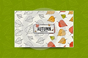 Autumn leaf pattern. Fall leaves seamless pattern. Seasonal web banner template with leaf texture. Vector