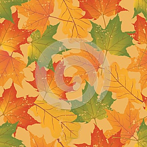 Autumn leaf seamless pattern print wallpaper