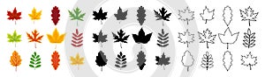 Autumn leaf. Set of autumn leaves. Yellow, orange, red, green and black forest tree icons. Outline silhouettes for decoration