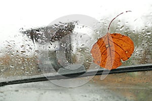 Autumn leaf stuck to the windshield that gets wet from rain drops.