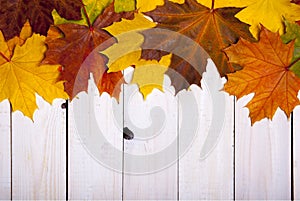 Autumn leaf on wood