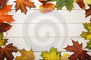 Autumn leaf on wood