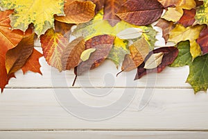 Autumn leaf on wood