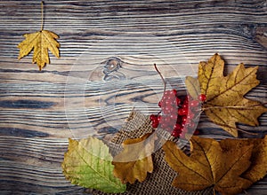 autumn leaf on wood background