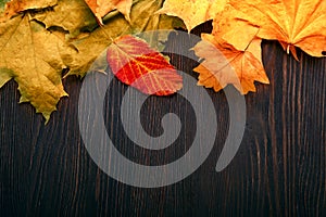 Autumn leaf on wood background