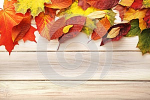 Autumn leaf on wood background