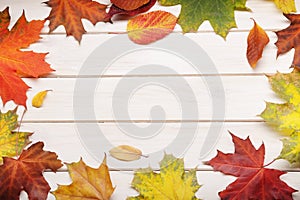 Autumn leaf on wood background