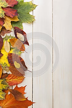 Autumn leaf on wood background