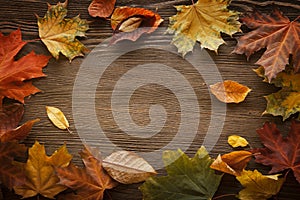 Autumn leaf on wood background