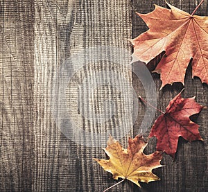 Autumn leaf on wood background top view