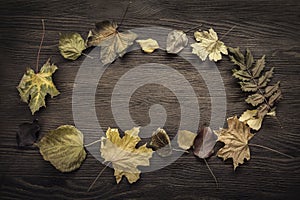 Autumn leaf on wood background (top view)