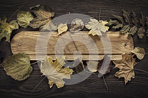 Autumn leaf on wood background (top view)
