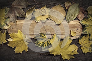 Autumn leaf on wood background (top view)