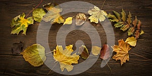 Autumn leaf on wood background (top view)