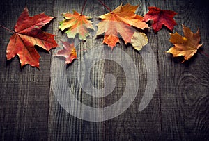 Autumn leaf on wood background (top view)