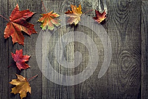 Autumn leaf on wood background (top view)