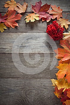 Autumn leaf on wood background top view