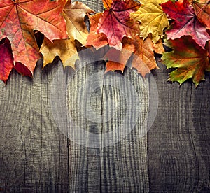 Autumn leaf on wood black background, foliage leaf on old grunge wood deck, copy spaÑe, top view, tablet for text, top view