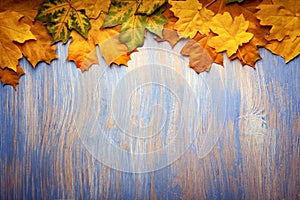 Autumn leaf on wood blue background top view orange leaf on o