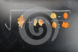 Autumn leafs black chalkboard background studio