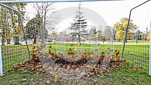 Autumn leafs blown into and caught in the back of a football soccer net