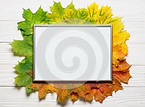 Autumn leafs colorful gradient composition with picture frame copy space