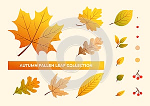 Autumn leafs flat style vector collection set