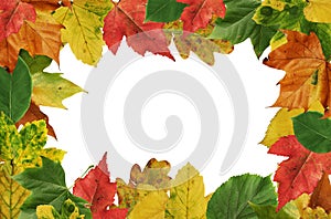 Autumn leafs frame