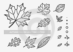 Autumn leafs line art style hand drawn vector collection set