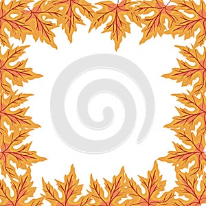 Autumn leafs plant seasonal frame