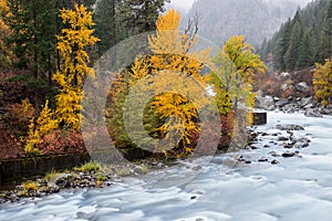 Autumn in Leavenworth featured with river flow and fog
