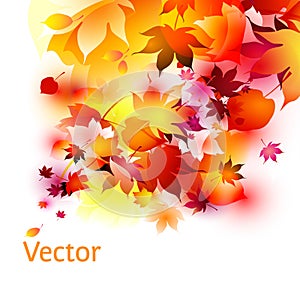 Autumn leaves abstract background