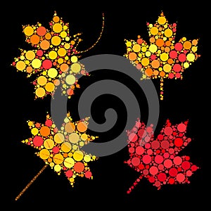 Autumn leaves. Abstract design elements collection. Vector set of autumnal maple leaf in fall colors. Seasonal foliage symbols set