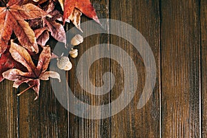 Autumn leaves and acorns with fall colors on a dark rustic barn wood surface