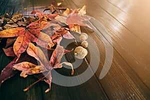 Autumn leaves and acorns with fall colors on a dark rustic barn wood surface