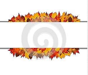 Autumn leaves around blank rectangle.