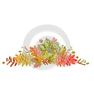 Autumn Leaves Arrangement Isolated on White Background.