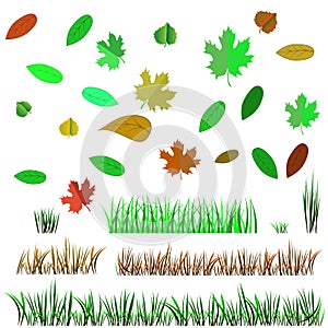Autumn Leaves and Autumn Grass