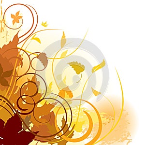 Autumn leaves background