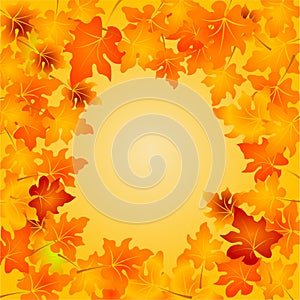 Autumn Leaves background