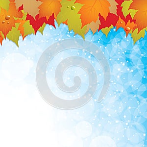 Autumn leaves background