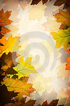 Autumn leaves background