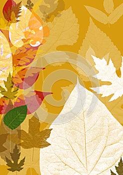 Autumn leaves background