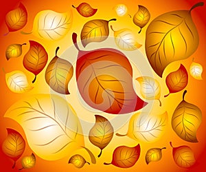 Autumn Leaves Background