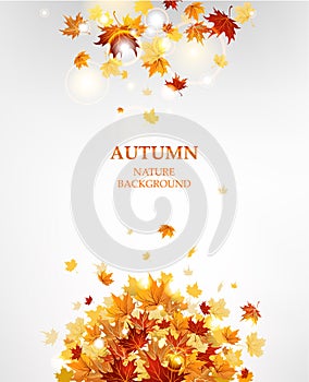 Autumn leaves background