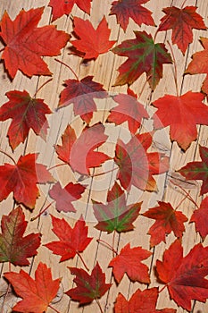 Autumn leaves background